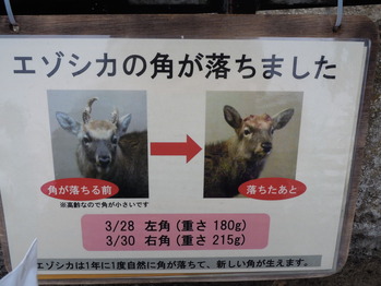 DSCN1035