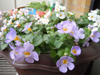 DSCN1053