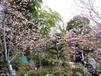 DSCN0837