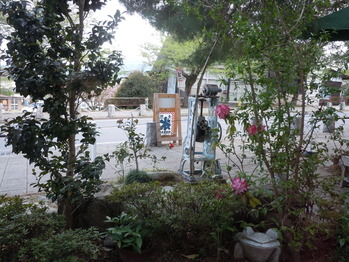DSCN0994