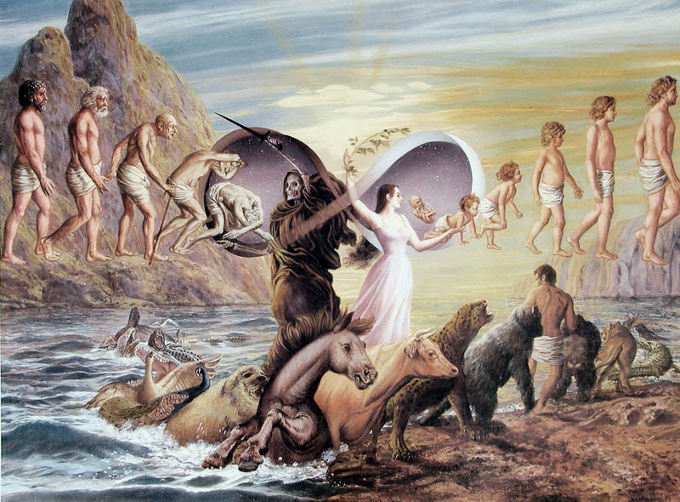 Reincarnation