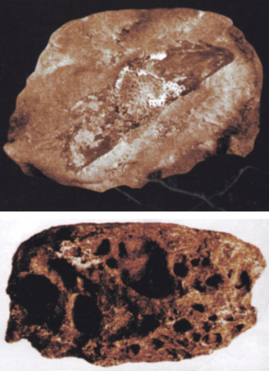 94xzds09