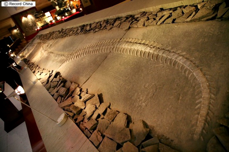 985d