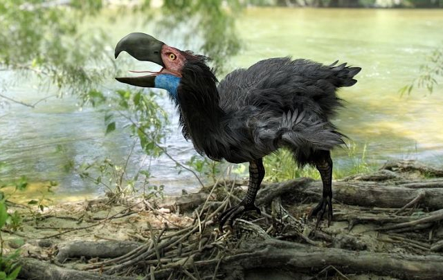 gastornis-terror-bird
