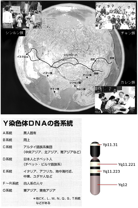 20131123