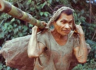 955371030