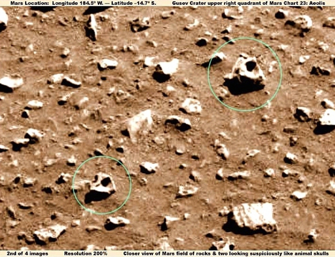 o058004531107