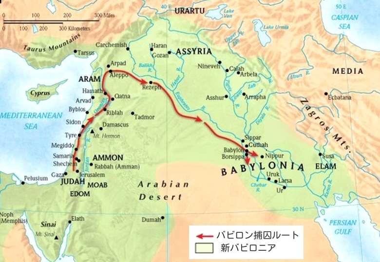 hfpo4407655