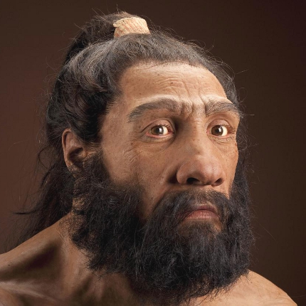 neanderthalensis