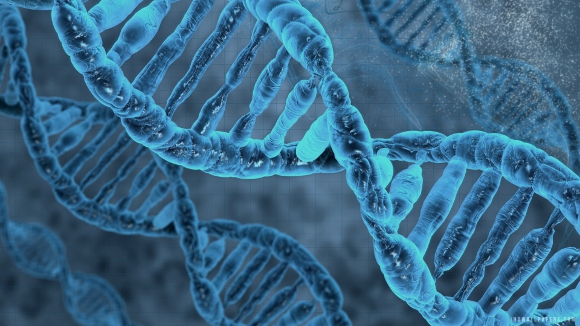 DNA Molecule