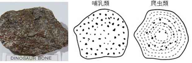 6045