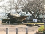 a521d1f7.jpg