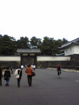c8516250.jpg