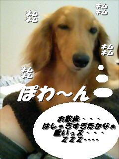 こっくり