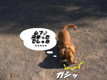 キーパー5