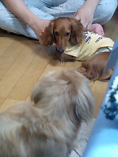 ルドくんとりあい1