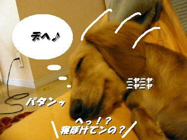 カシャ5