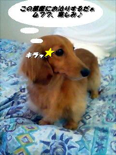 ムフフ