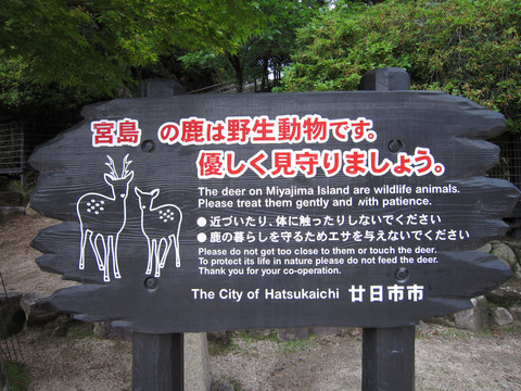 miyajima