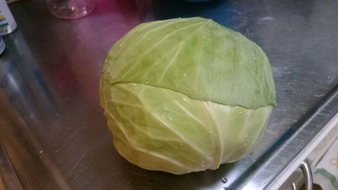 無農薬で育てたキャベツ