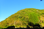 PA142560