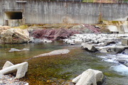 P1071185