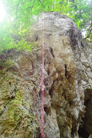P8130505