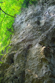 P9100623