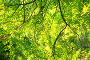 P9100621