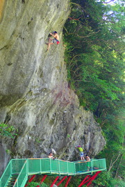 P7141723