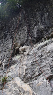 P9251567