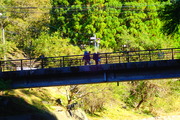 PA142556