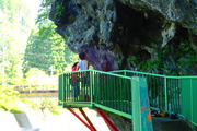P7141714
