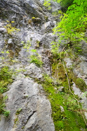 P8130500