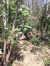 0093e0d1.jpg