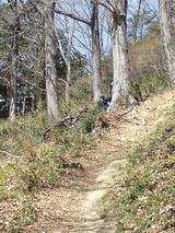 7347a8b6.jpg
