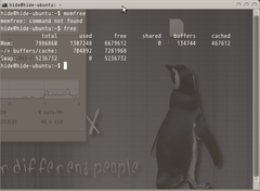 Screenshot-hide@hide-ubuntu- ~