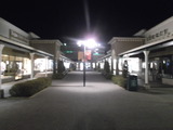 DSCF0537