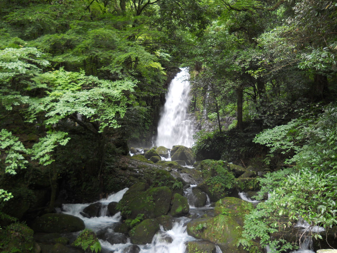DSCN0297