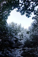 918a8b6b.jpg