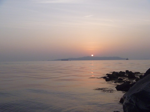 P1010449