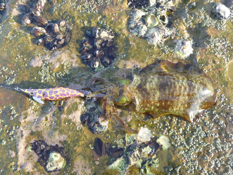 P1040505