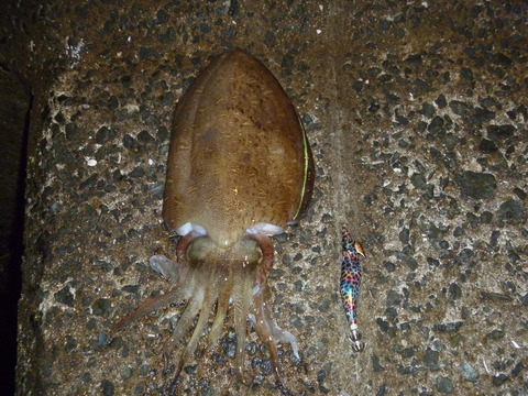 P1010572