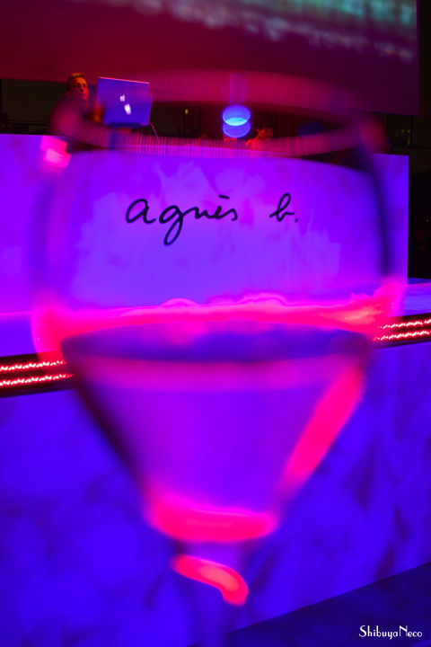 agnesb2013fw_32