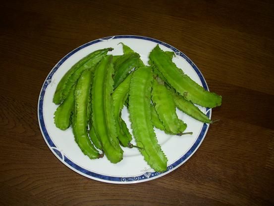 しかく豆