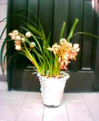 8aa838c7.jpg