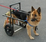 a57989bf.jpg