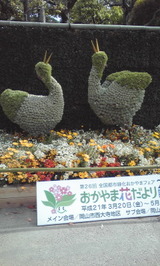 親子鳥