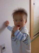 孫