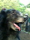 8bf48622.JPG
